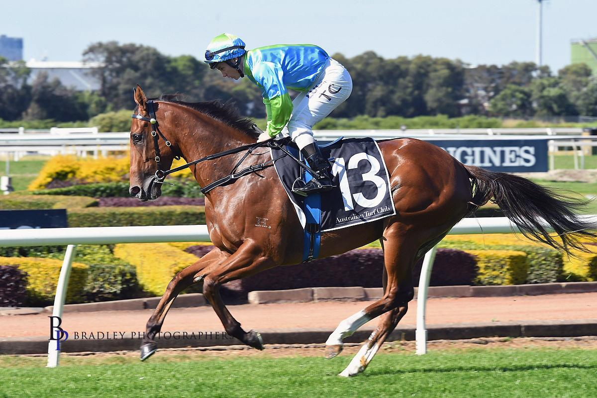 OWNER HORSE ★DEEP SKY Deep Sky(JPN) | JBIS-Search